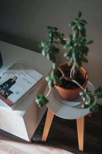 Sustainability in Daily Life